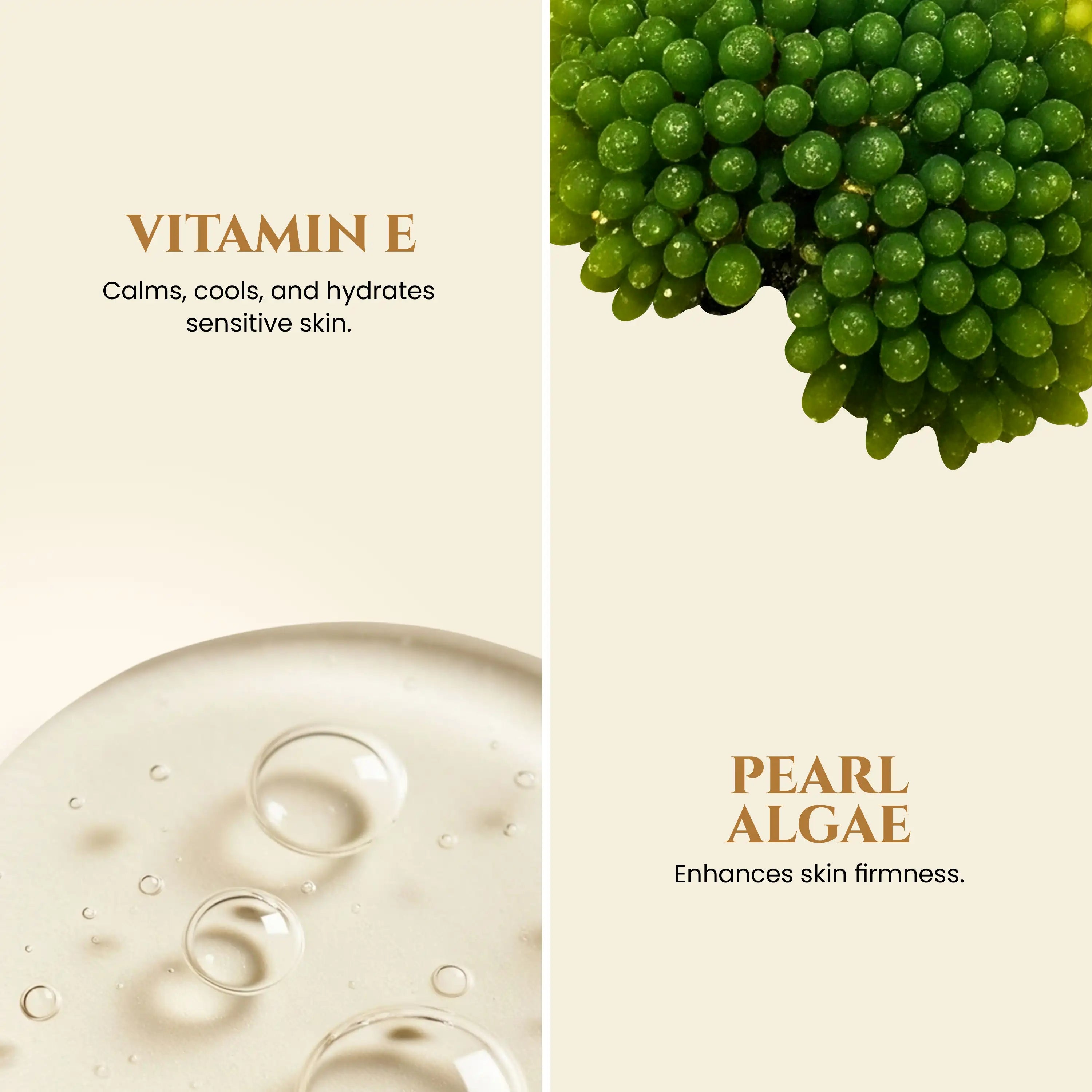1_Encapsulated_Retinol_Face_Serum_Vitamin_E_and_Pearl_Algae