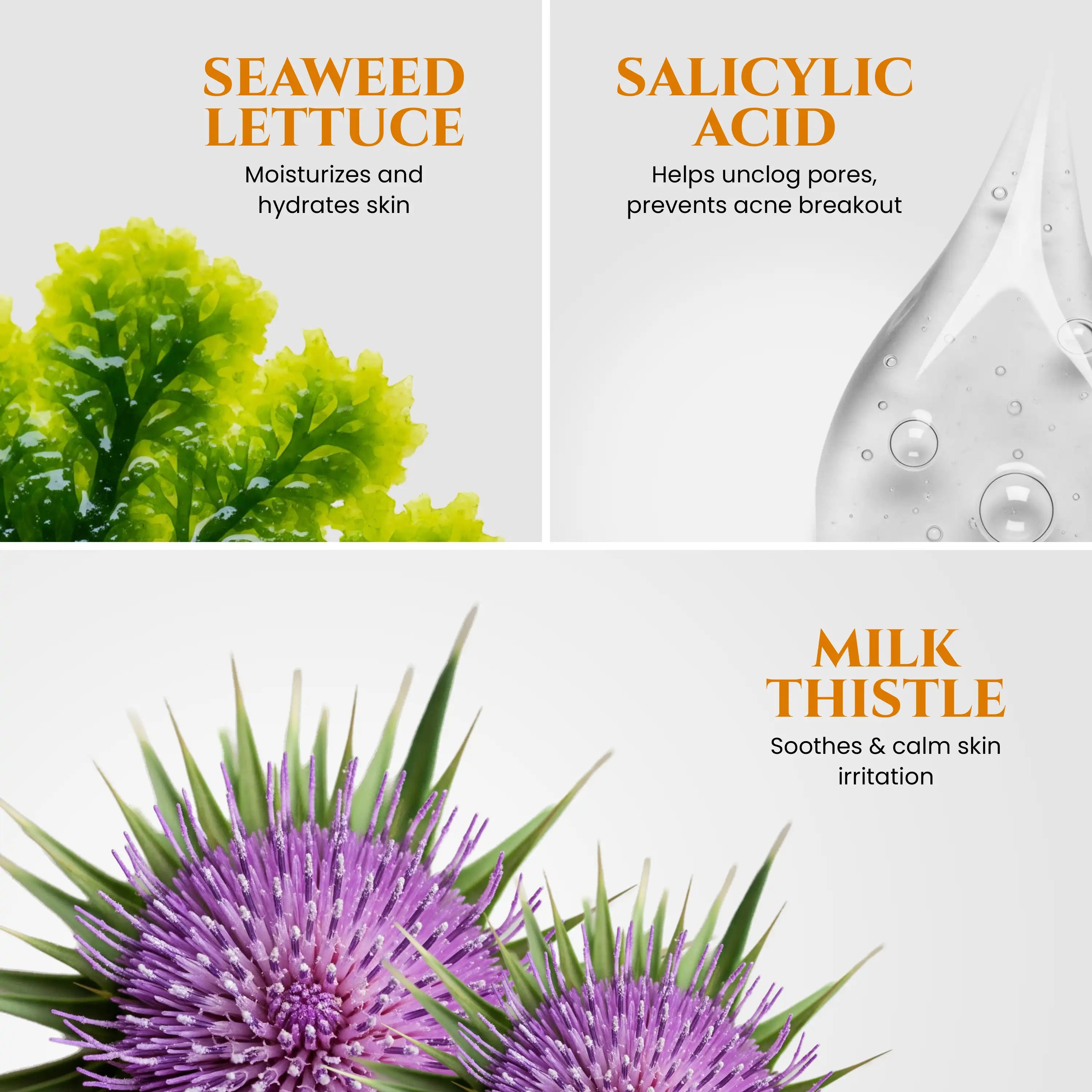 Salicylic_Acid_Face_Wash_Seawood_Lettuce_and_Salicylic_Acid_and_Milk_Thistle