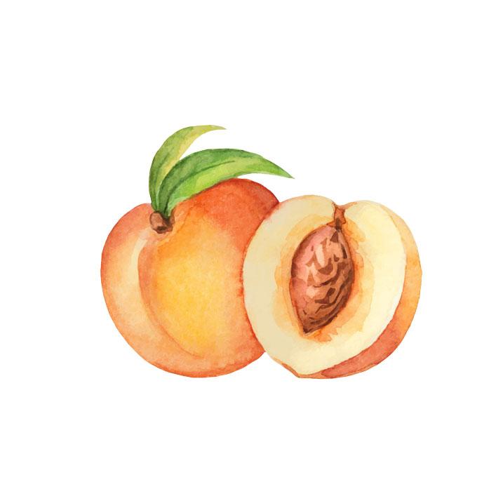 Peach Extract