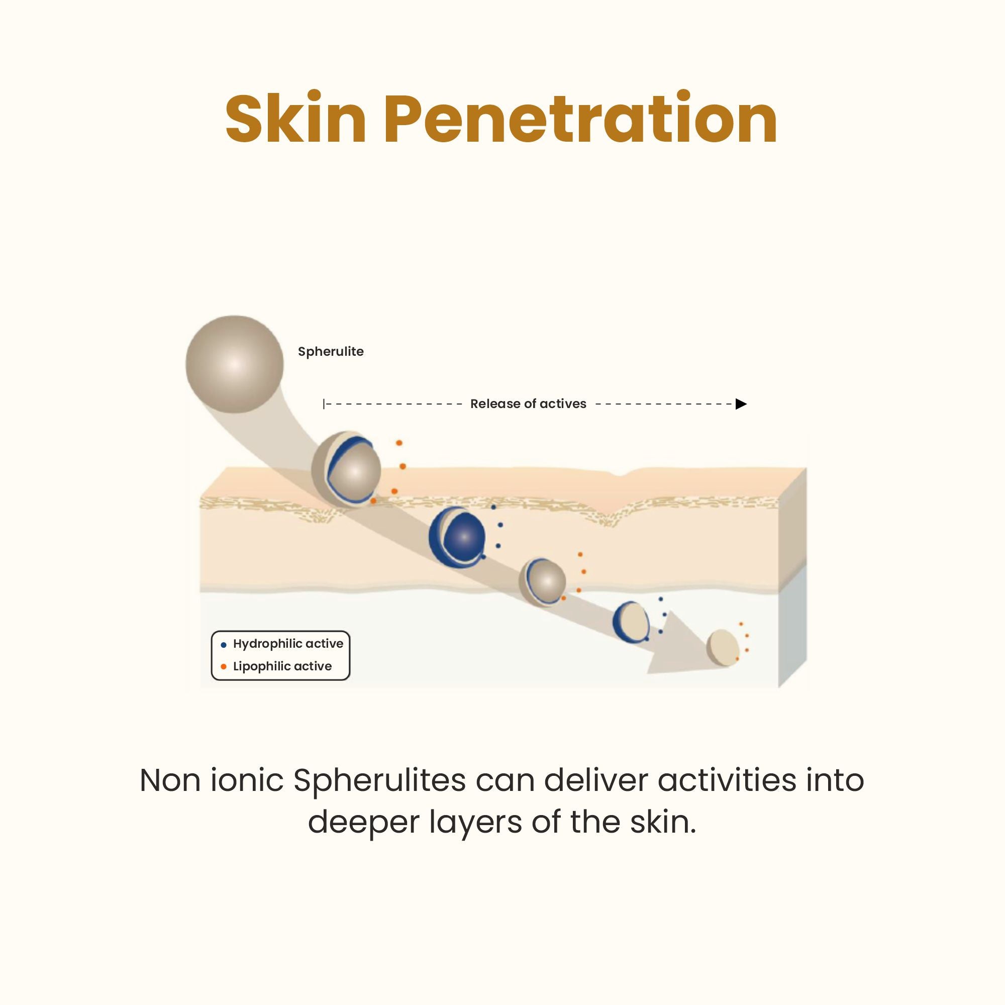 Anti-aging Encapsulated 1% Retinol Serum skin penetration