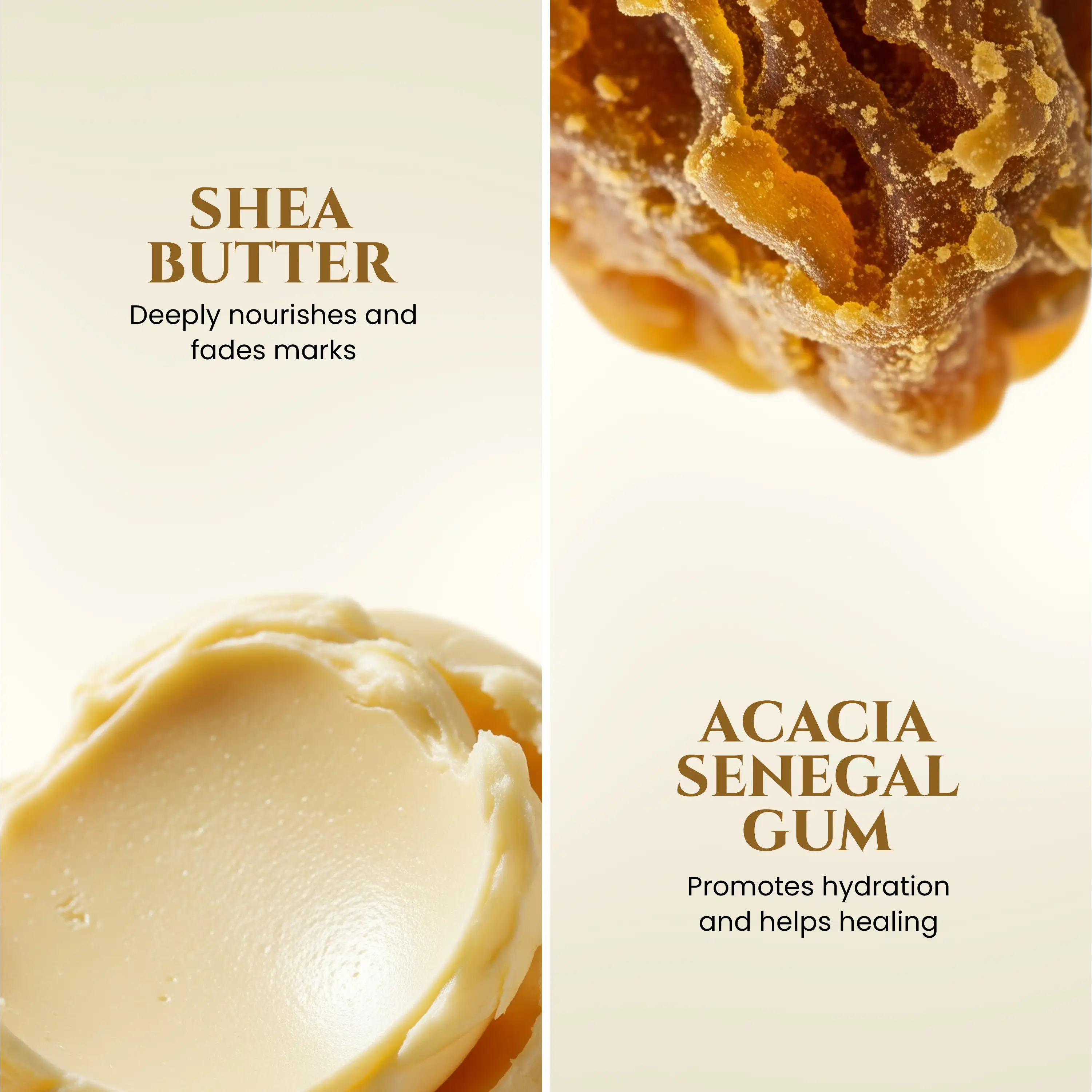 Anti_Stretch_Mark_Body_Butter_Shea_Butter_and_Acacia_Senegal_Gum