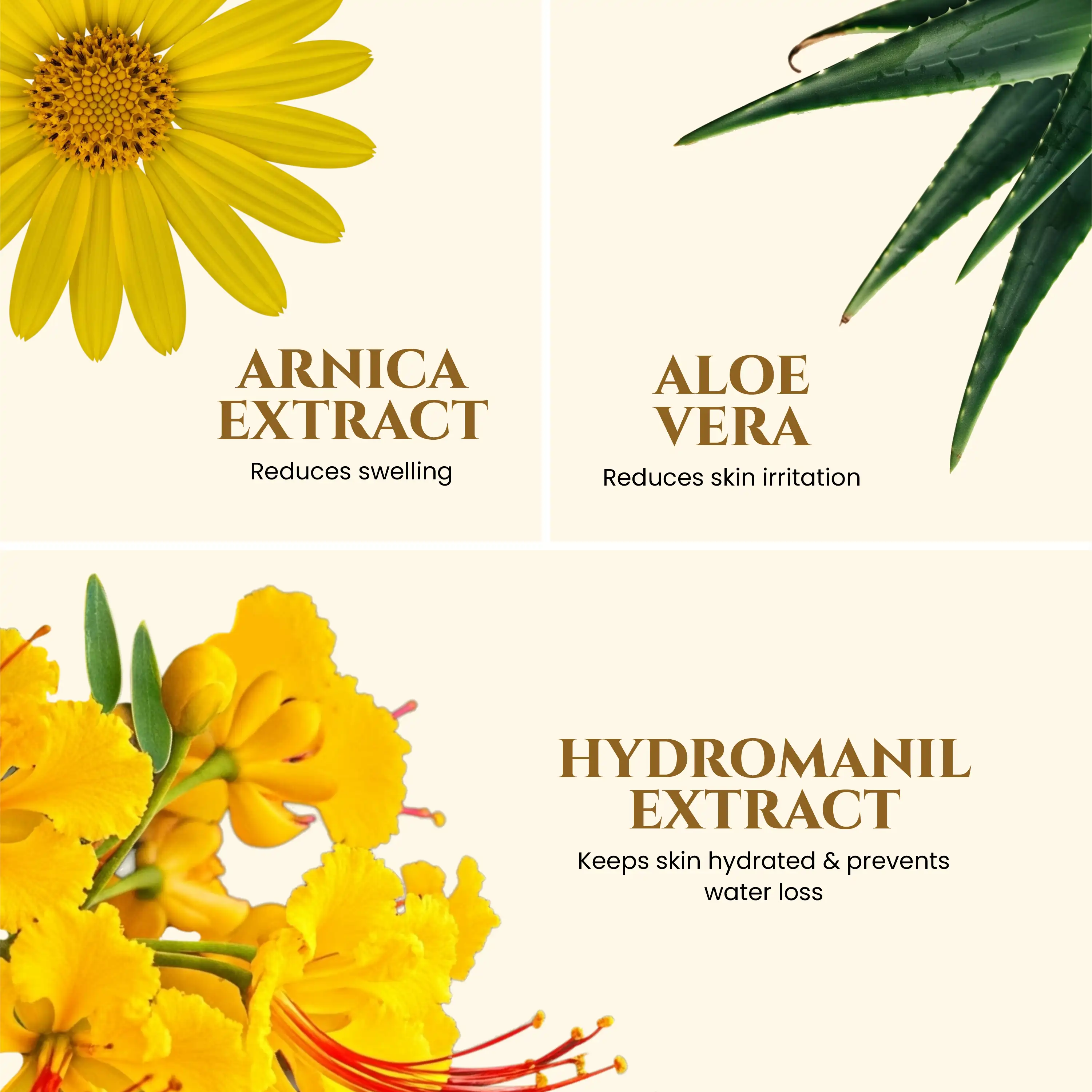 Hyaluronic_Acid_Moisturizer_with_Peach_Extract_Arnica_Extract_and_Alovera_and_Hydromanil_Extract