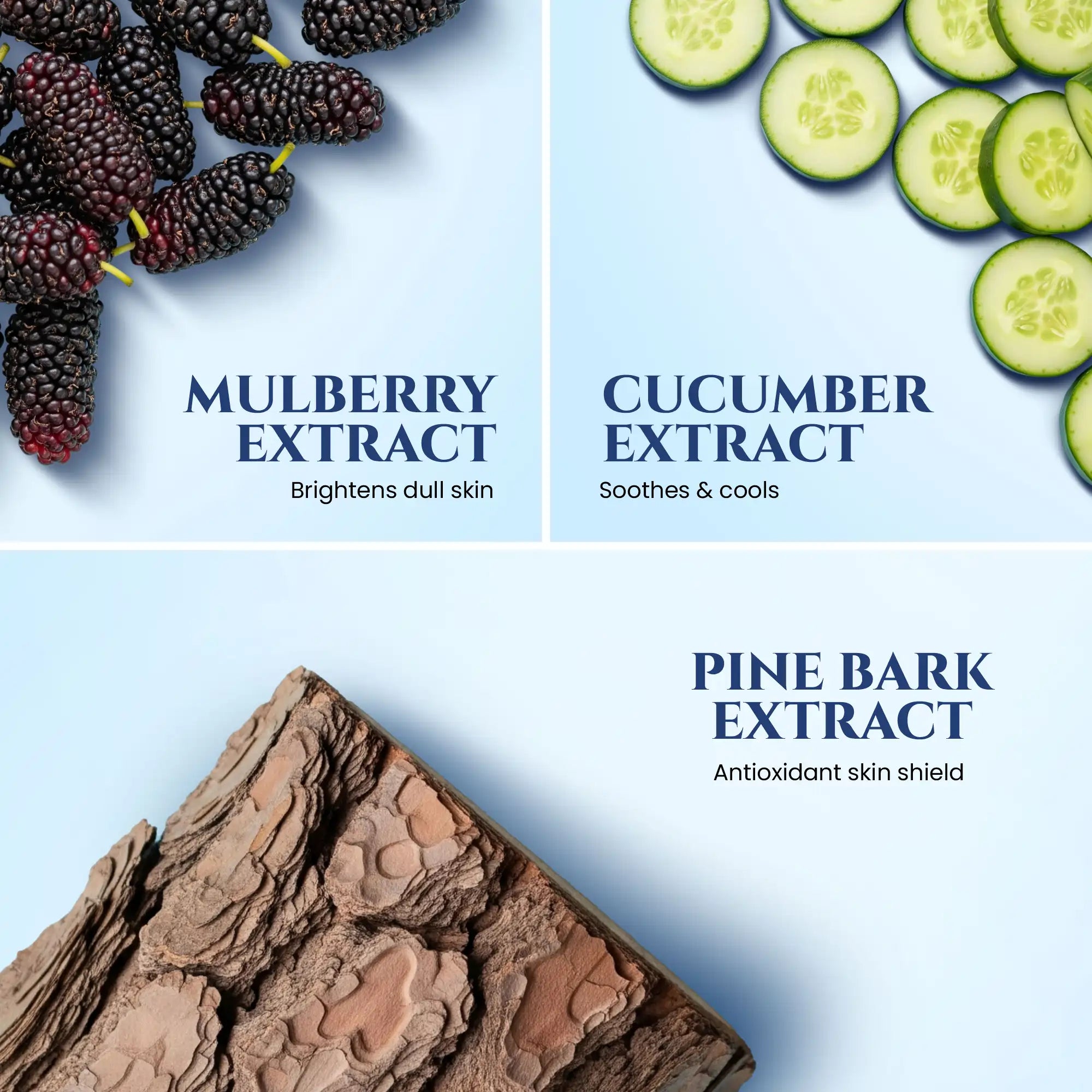 Hydra_Sunscreen_SPF_60_PA_Mulberry_Extract_and_Cucumber_Extract_and_Pine_Bark_Extract