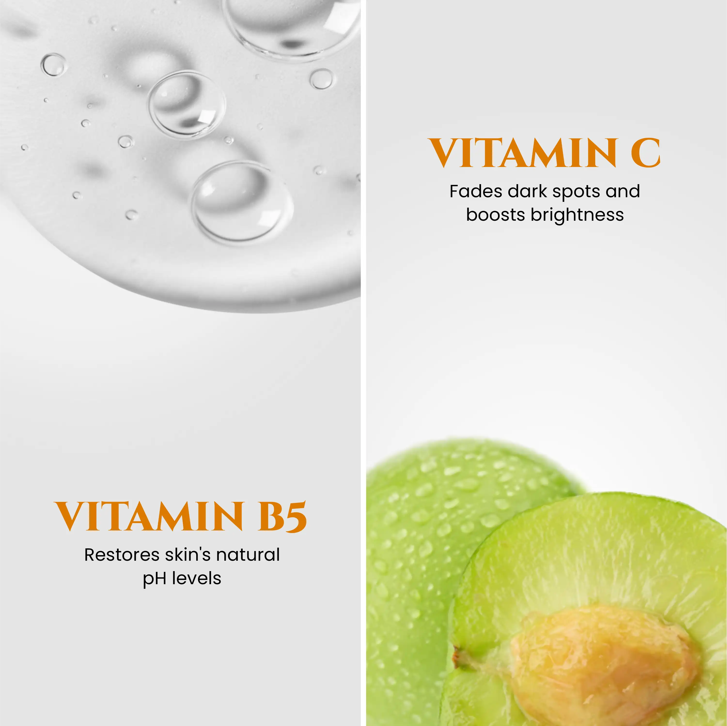 Salicylic_Acid_Face_Wash_Vitamin_B5_and_Vitamin_C
