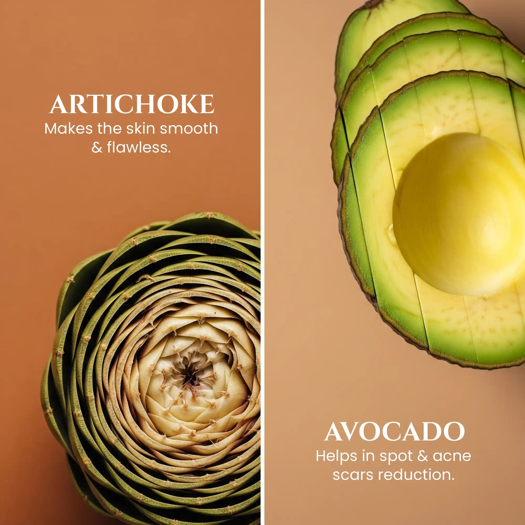 Tinted_Sunscreen_SPF_50_PA_Artichoke_and_Avocado