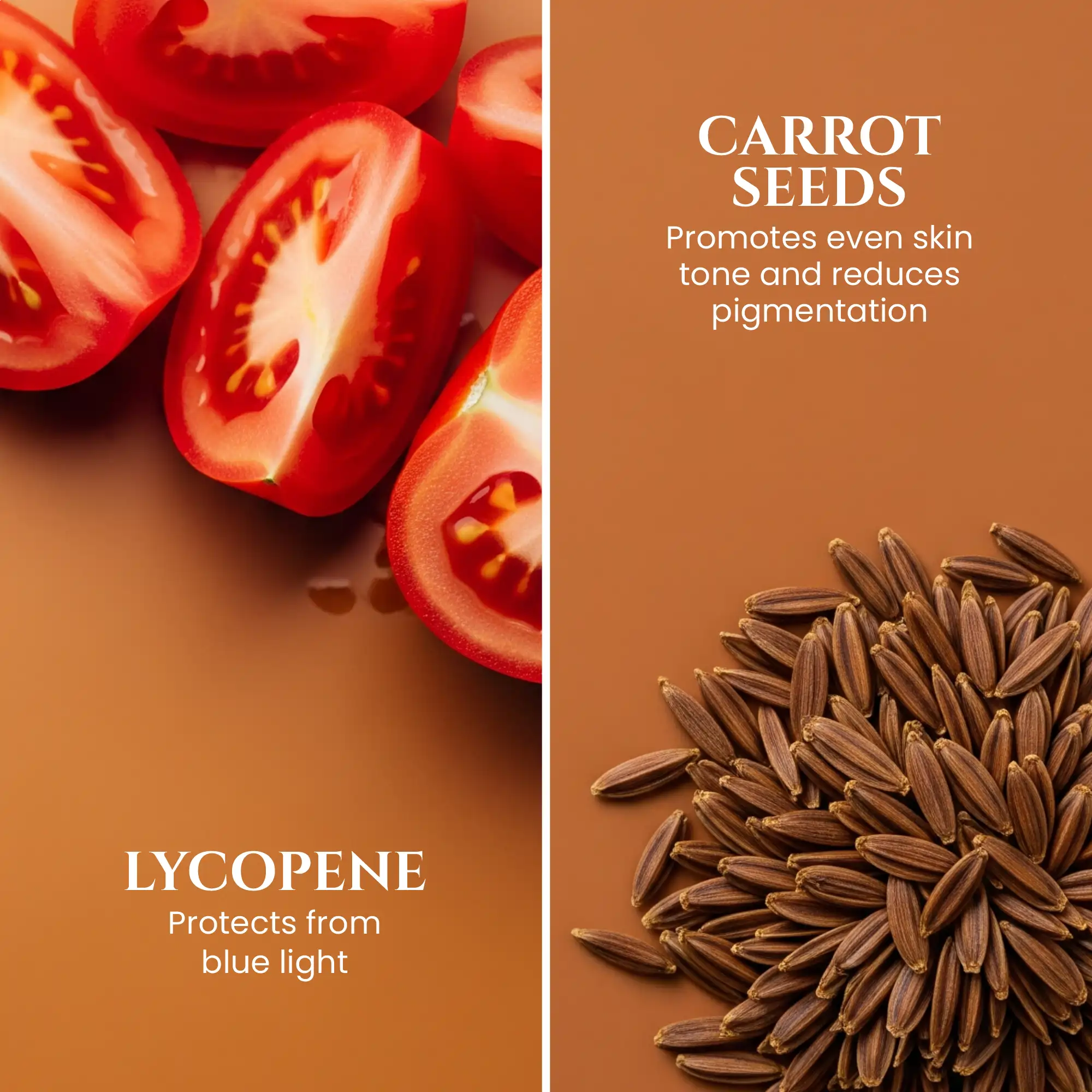 Tinted_Sunscreen_SPF_50_PA_Lycopene_and_Carrot_Seeds